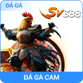 Icon đá gà Sv388 ngay rr88.com