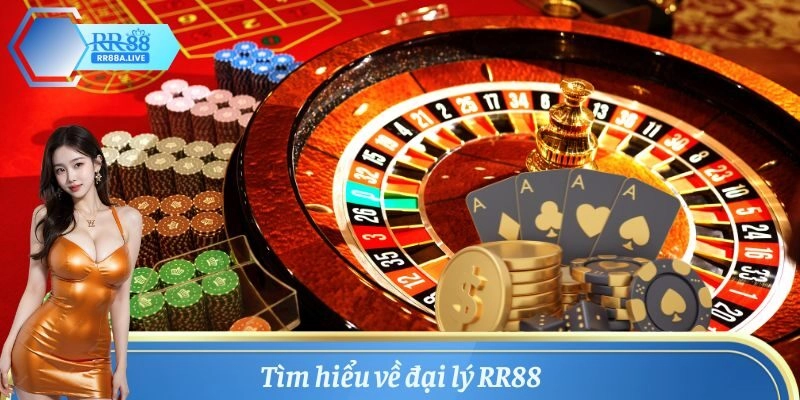 Khám phá chi tiết về đại lý RR88