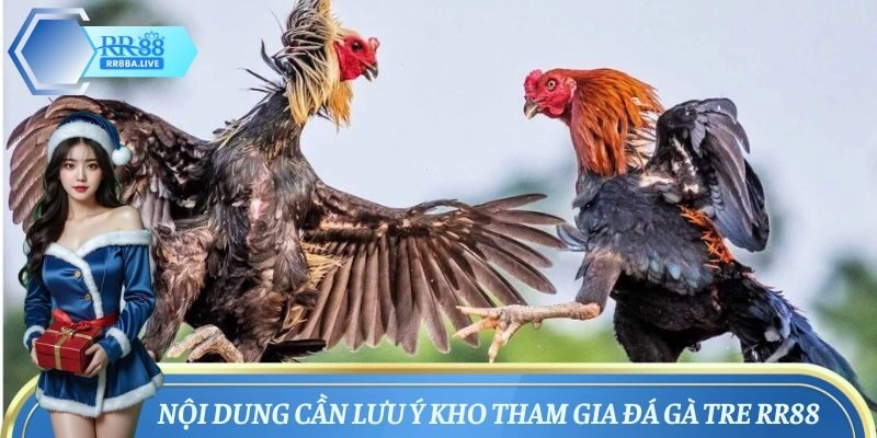 Lưu ý cần nhớ khi chơi đá gà tre