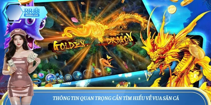 Thông tin quan trọng cần tìm hiểu về vua săn cá