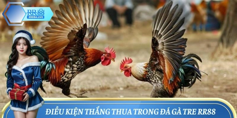 Yếu tố quyết định thắng thua trong đá gà tre